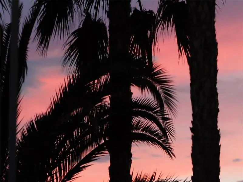 Camping Estival Vendrell Platja Комарруга
