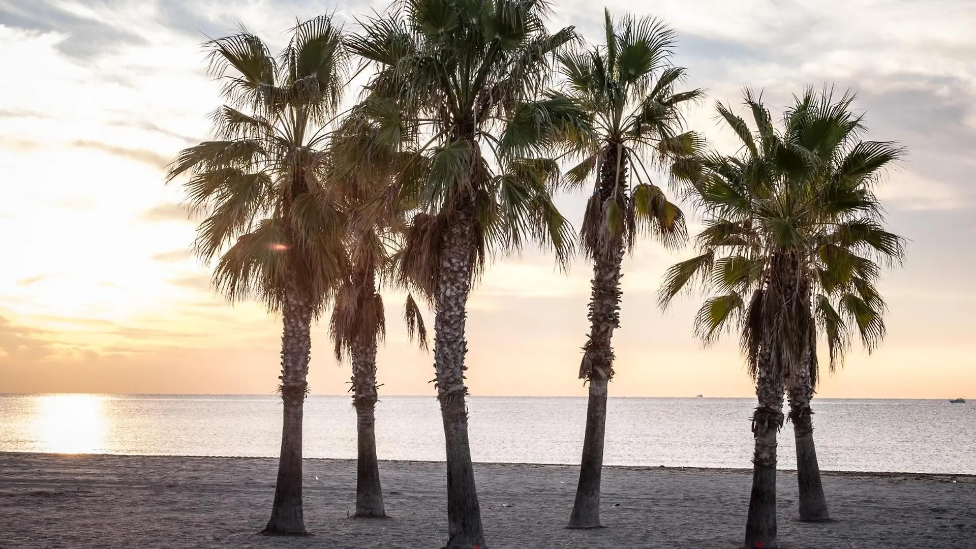 Camping Estival Vendrell Platja Coma-ruga Spagna